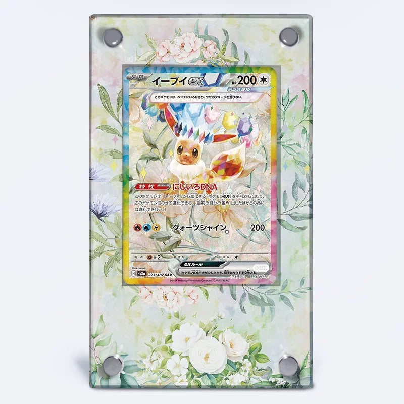 Pokemon Extended Art Display Frame - Choose Yours